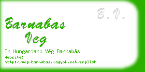 barnabas veg business card