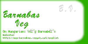 barnabas veg business card